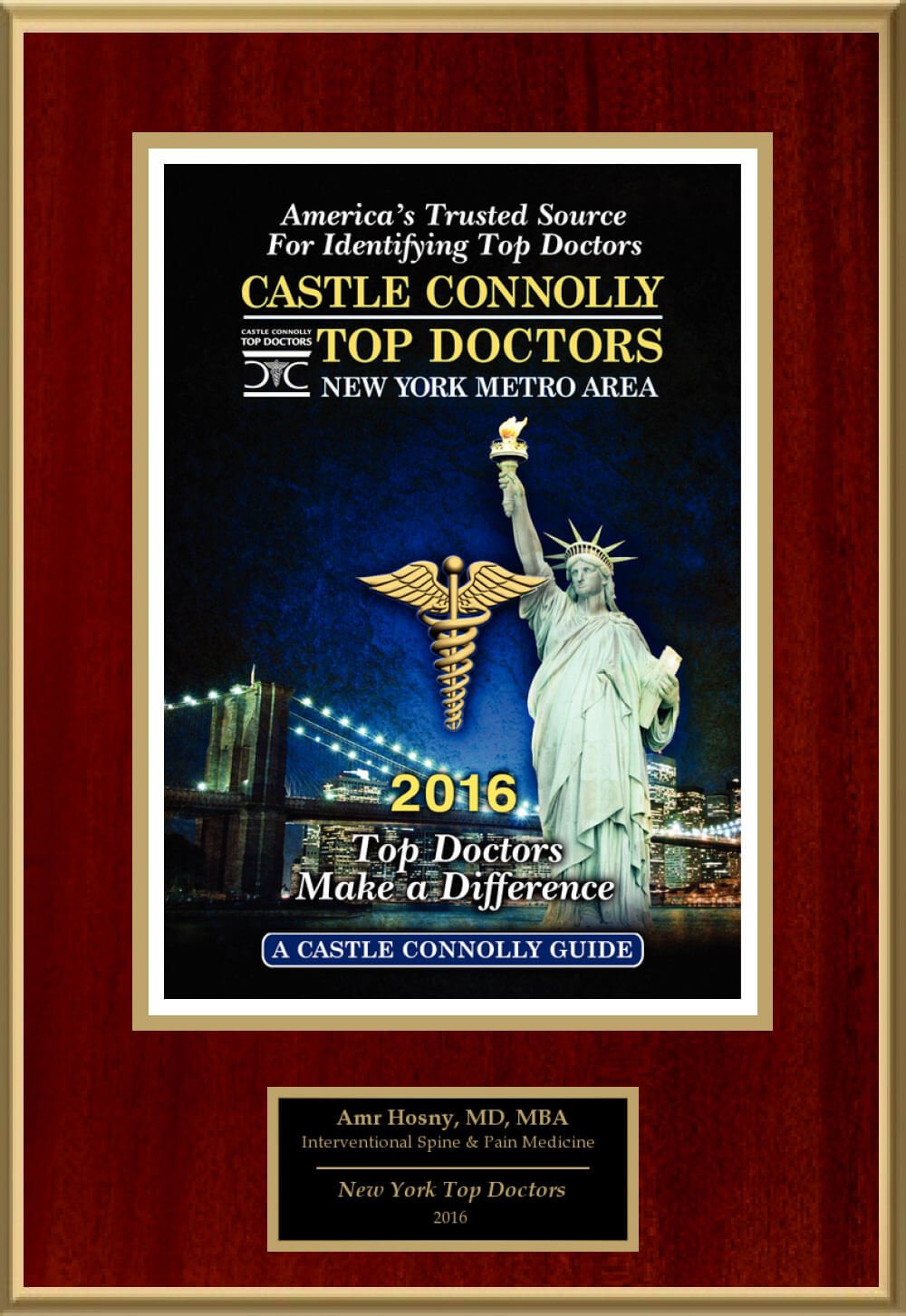 Amr Hosny 2016 Top Doctors