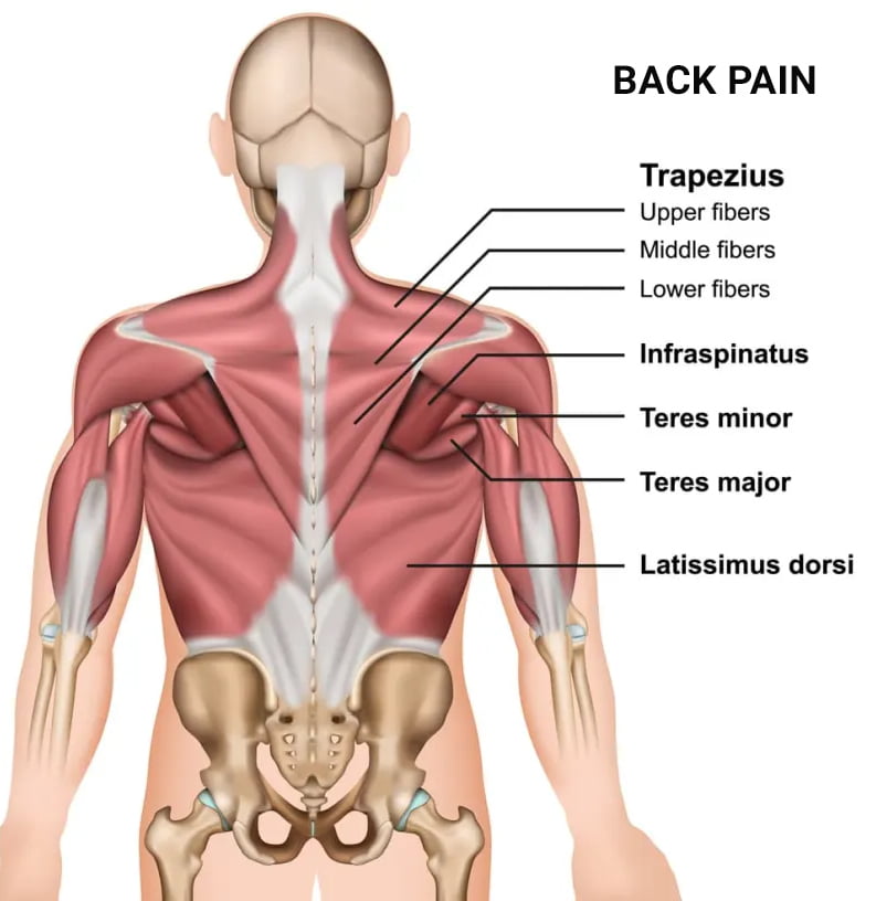 What Causes Lower Back Pain After Sleeping The Spine Rehab Group